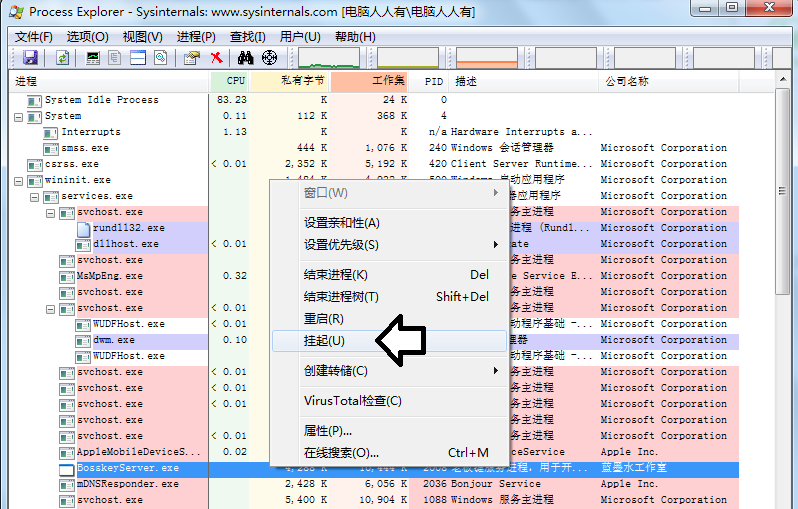 process explorer中文版