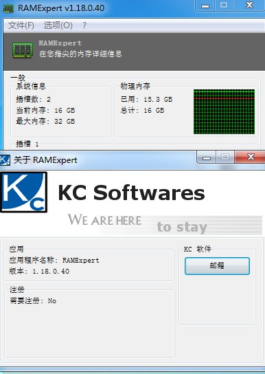 RAMExpert电脑版