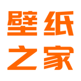 壁纸之家logo图