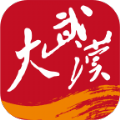 大武汉logo图