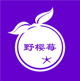 野樱莓logo图