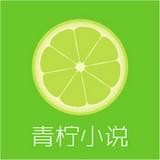 青柠小说logo图