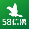 58信鸽logo图