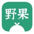 野果阅读applogo图