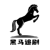 黑马追剧logo图