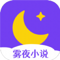 雾夜小说logo图