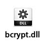 bcrypt.dll系统修复软件logo图