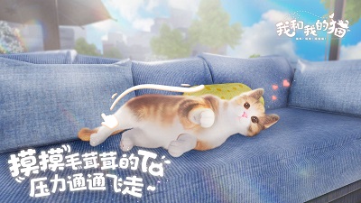 我和我的猫