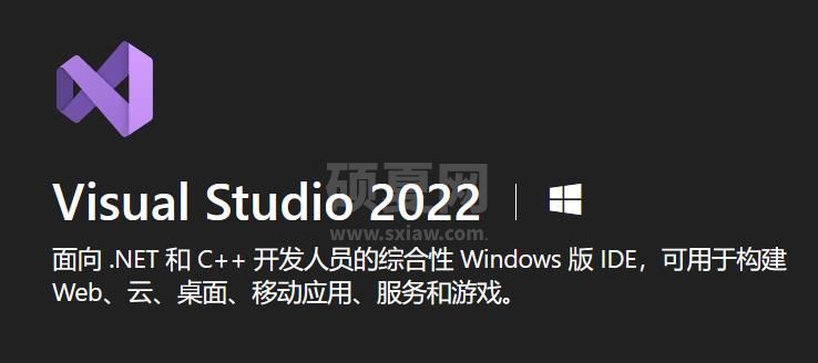 Visual Studio中文版