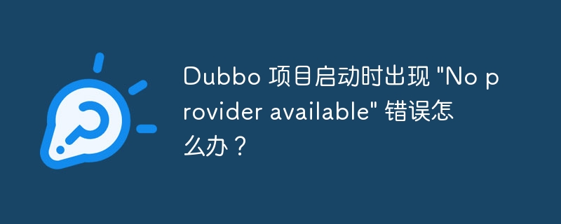 Dubbo 项目启动时出现 \&quot;No provider available\&quot; 错误怎么办？