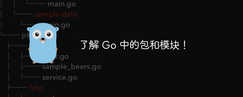 了解 Go 中的包和模块！