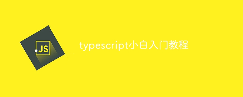 typescript小白入门教程