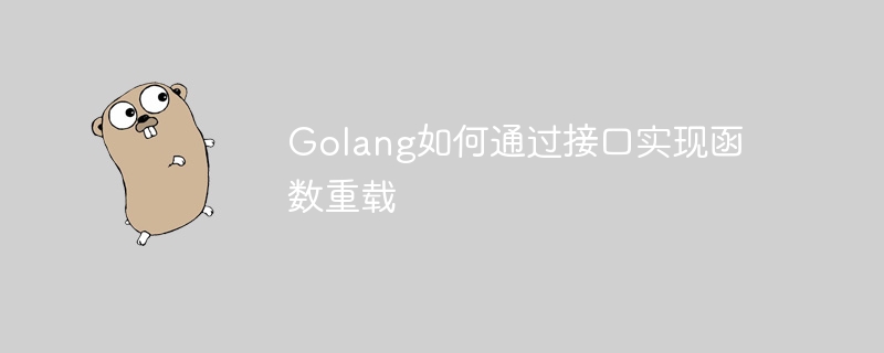 Golang如何通过接口实现函数重载