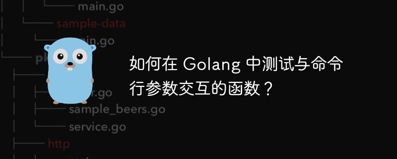 如何在 Golang 中测试与命令行参数交互的函数？