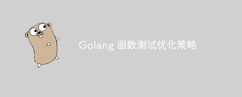 Golang 函数测试优化策略