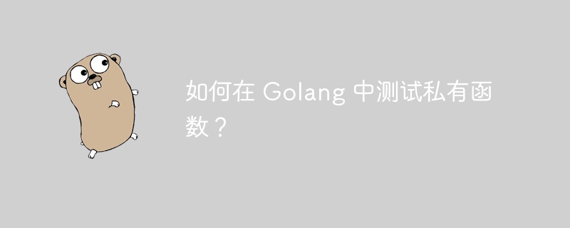 如何在 Golang 中测试私有函数？