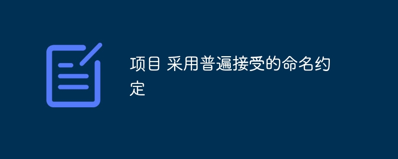 项目 采用普遍接受的命名约定