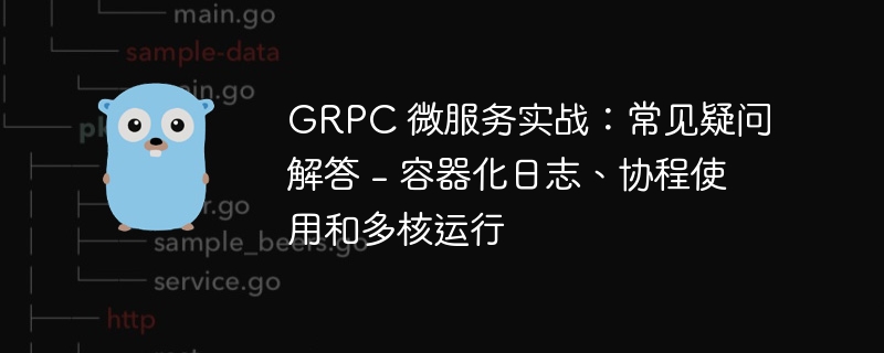 GRPC 微服务实战：常见疑问解答 - 容器化日志、协程使用和多核运行