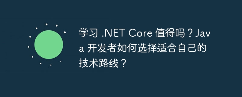 学习 .NET Core 值得吗？Java 开发者如何选择适合自己的技术路线？