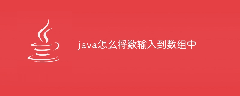 java怎么将数输入到数组中