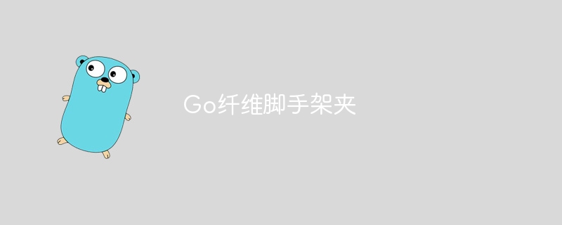 go纤维脚手架夹