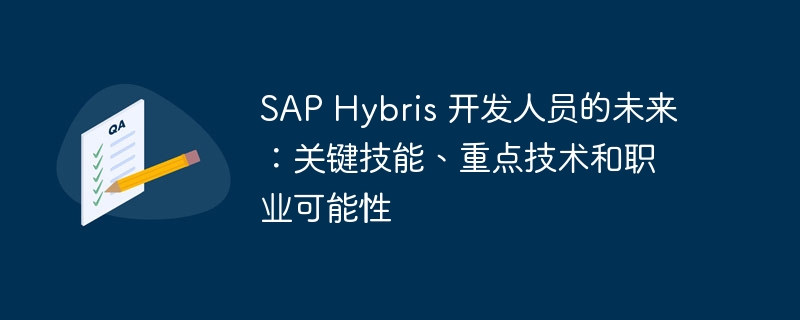 SAP Hybris 开发人员的未来：关键技能、重点技术和职业可能性