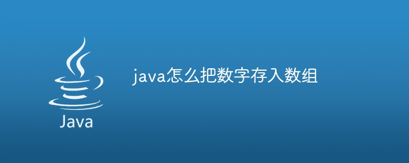 java怎么把数字存入数组