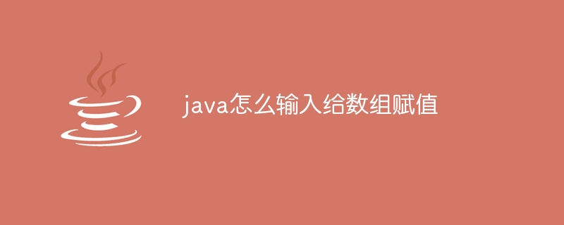 java怎么输入给数组赋值