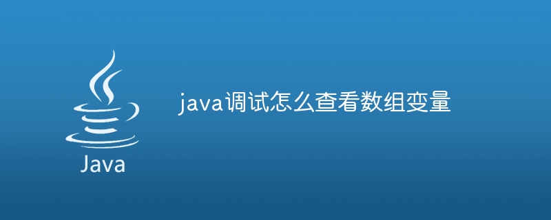 java调试怎么查看数组变量