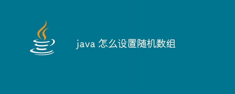 java 怎么设置随机数组