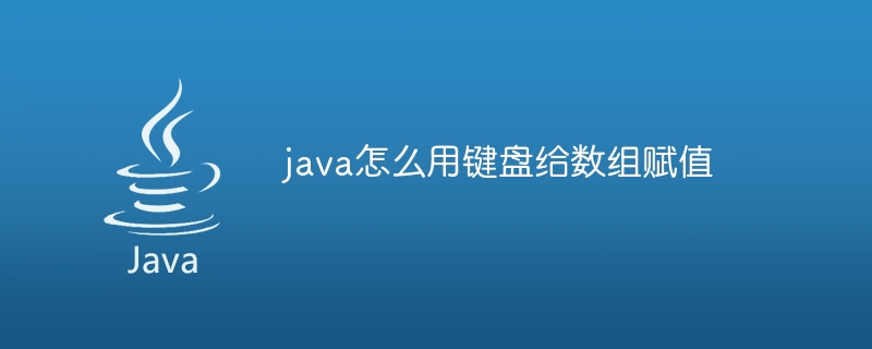 java怎么用键盘给数组赋值