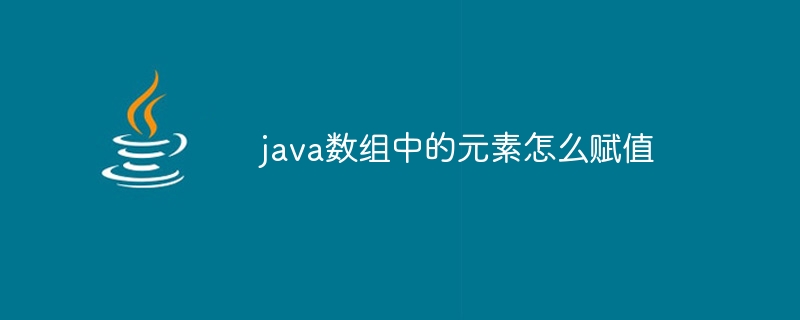 java数组中的元素怎么赋值