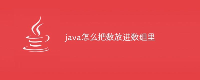 java怎么把数放进数组里