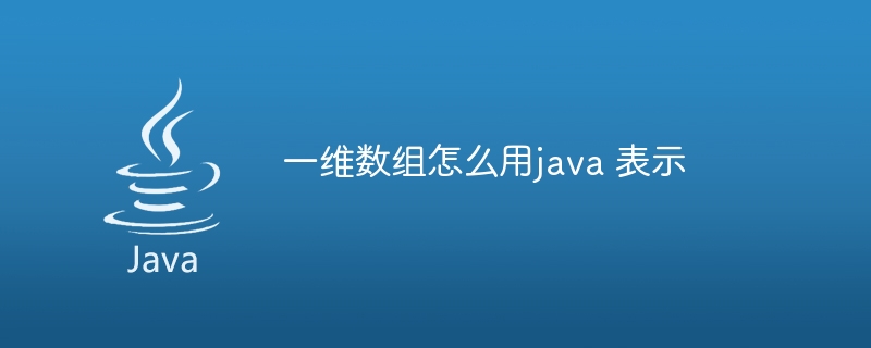 一维数组怎么用java 表示