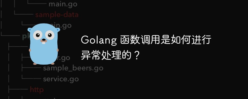 Golang 函数调用是如何进行异常处理的？