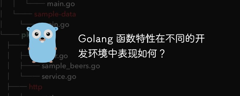 Golang 函数特性在不同的开发环境中表现如何？