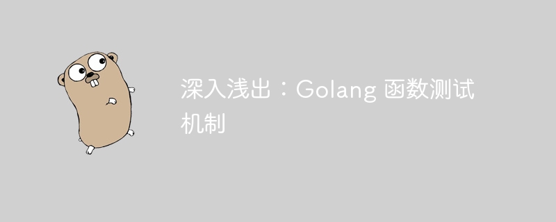 深入浅出：Golang 函数测试机制