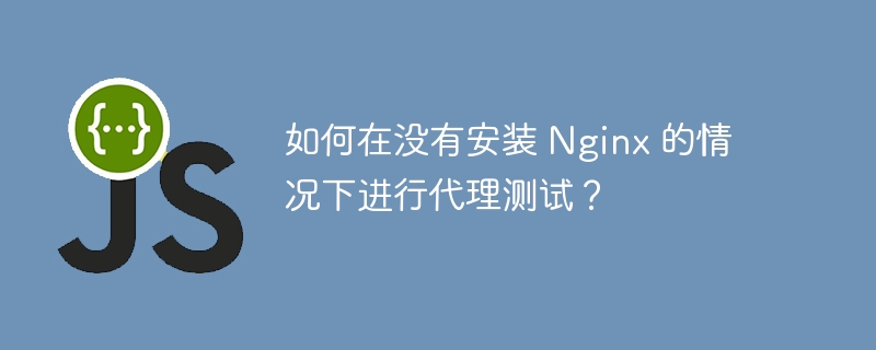 如何在没有安装 Nginx 的情况下进行代理测试？