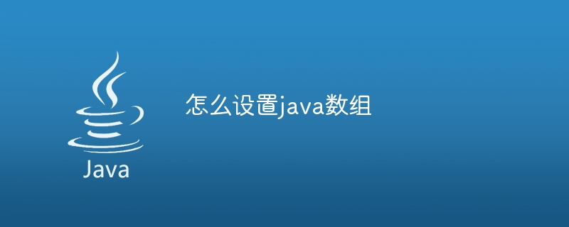 怎么设置java数组