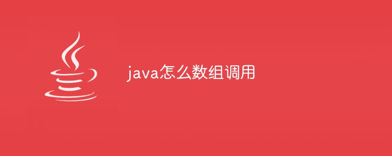 java怎么数组调用