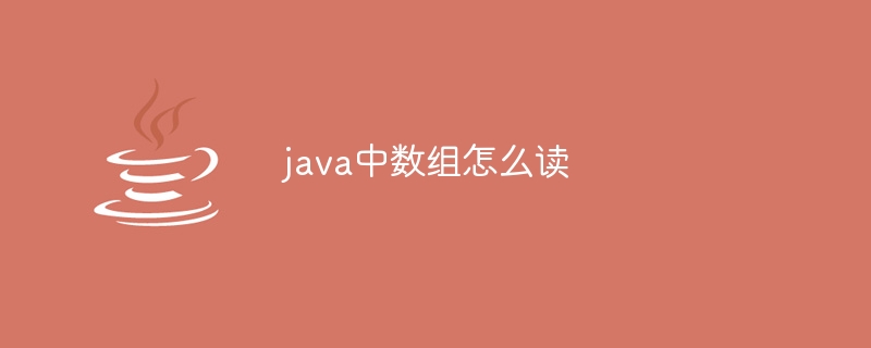 java中数组怎么读