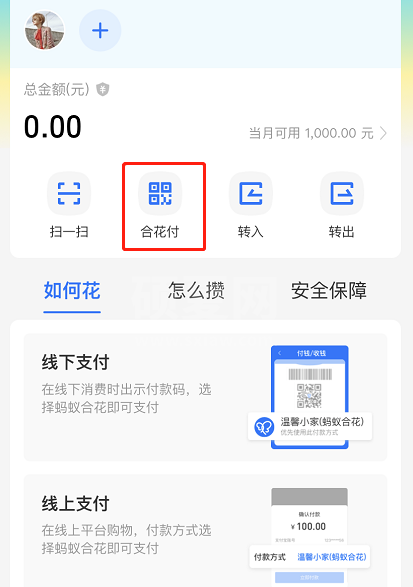 支付宝蚂蚁合花怎么用 支付宝使用蚂蚁合花的教程步骤截图