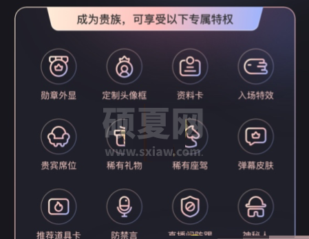 快手贵族有什么用?快手贵族专属特权介绍截图