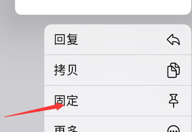 iMessage怎么设置内容置顶？iMessage内容置顶方法教程截图