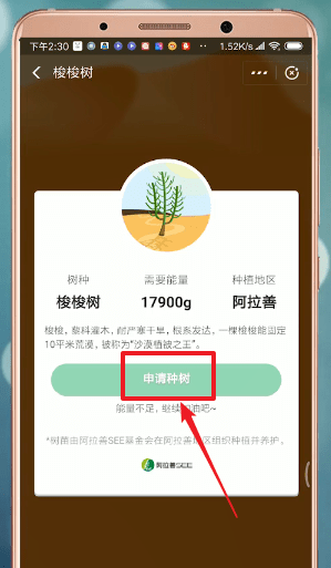 支付宝蚂蚁森林获得环保证书的简单操作截图