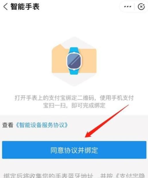 真我手表T1能够支付宝支付吗？真我手表T1是否支持支付宝支付介绍截图