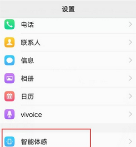 vivo NEX 3s设置捂住屏幕静音的方法截图