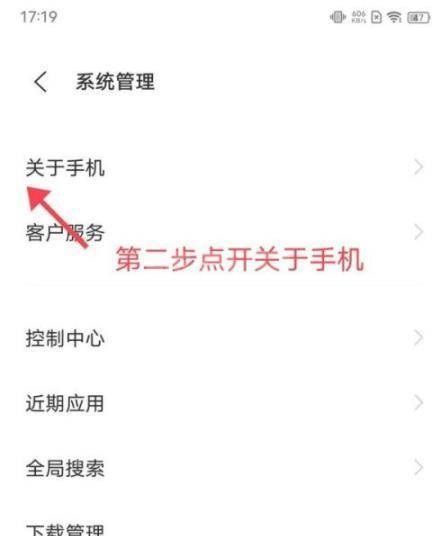 iQOO8Pro怎么进入开发者模式?iQOO8Pro进入开发者模式教程截图