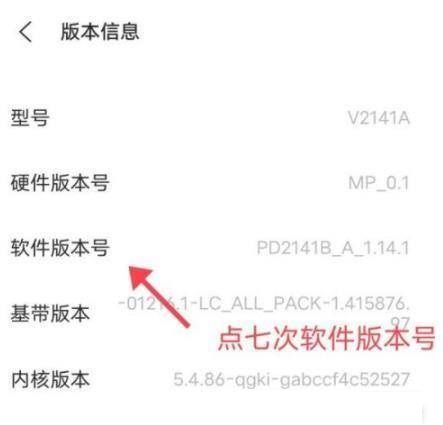 iQOO8Pro怎么进入开发者模式?iQOO8Pro进入开发者模式教程截图