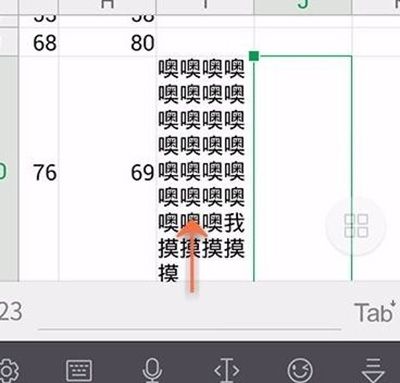 wps设置表格自动换行的详细操作截图